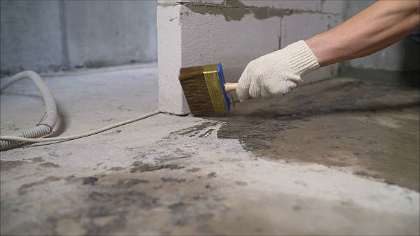 SJ Waterproofing Pros Exterior Waterproofing coverage map for Romulus, MI and surrounding area